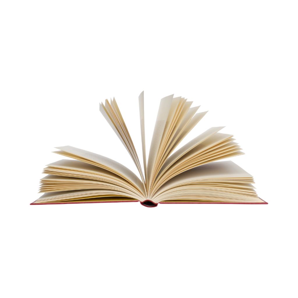 kitap çevirisi