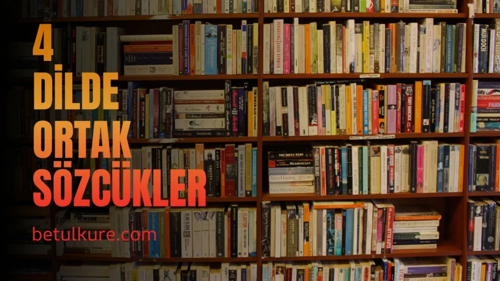 diller arası köprüler
