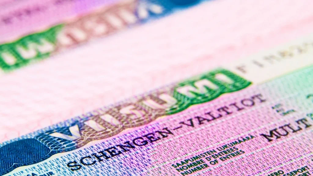 Konsolosluk Belgeleri Tercümesi