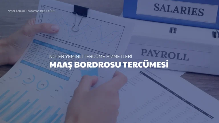 Maaş Bordrosu Tercümesi